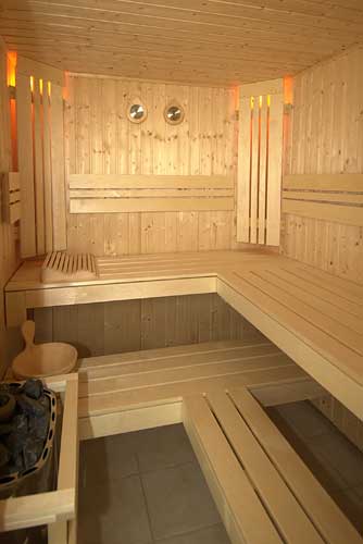 Istoric saune