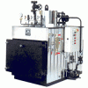 CAZAN ABUR 1060 kg/h, 0,2 / 0,9 BAR - BX 600 - ICIBX600