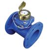 CONTOR Cl 1" PENTRU POMPE DOZATOARE - IDRCL1